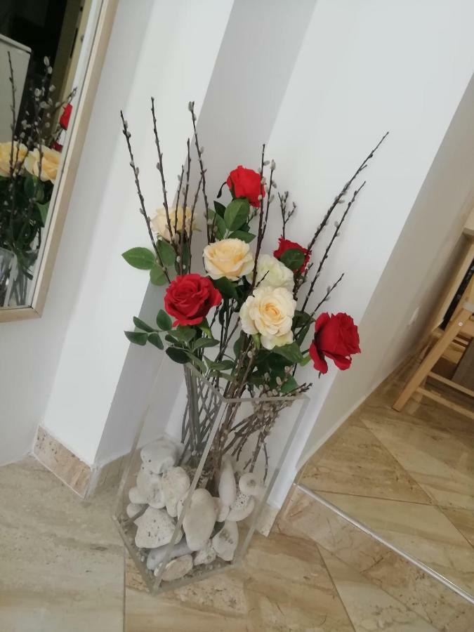 Studio Rose Πούλα Εξωτερικό φωτογραφία